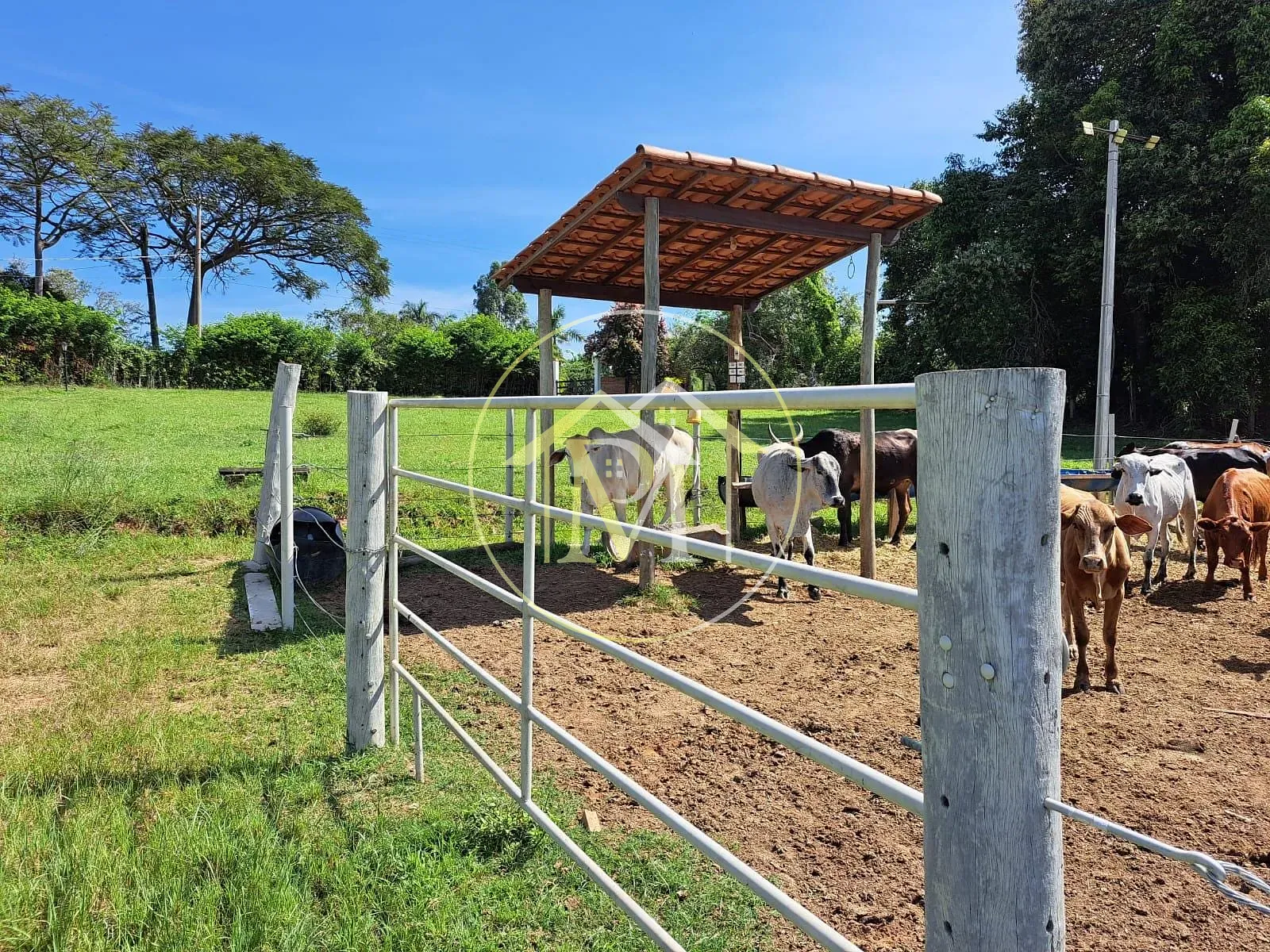 Fazenda, 8 hectares - Foto 24