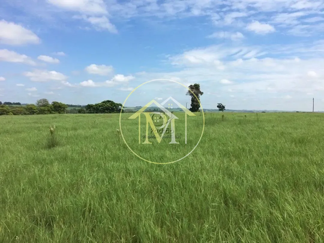 Fazenda, 36 hectares - Foto 30