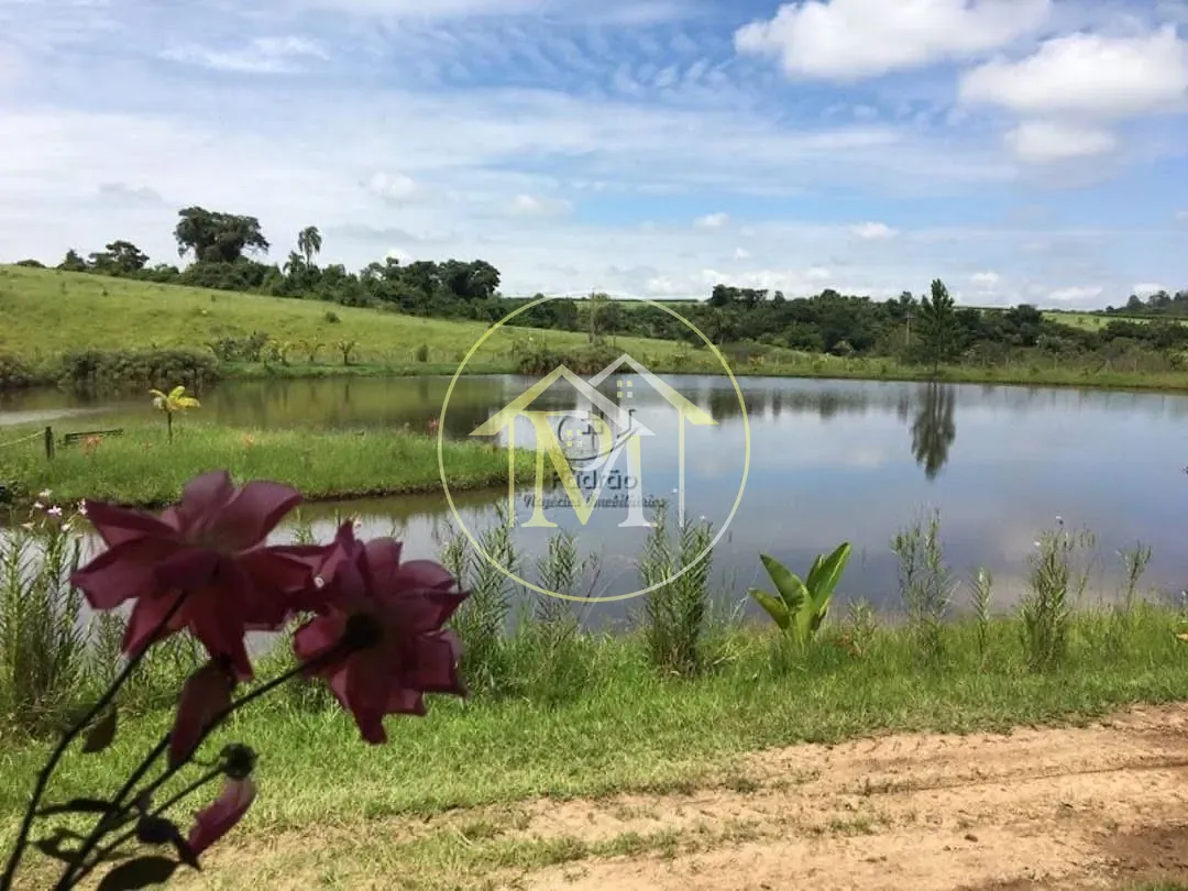 Fazenda, 36 hectares - Foto 25