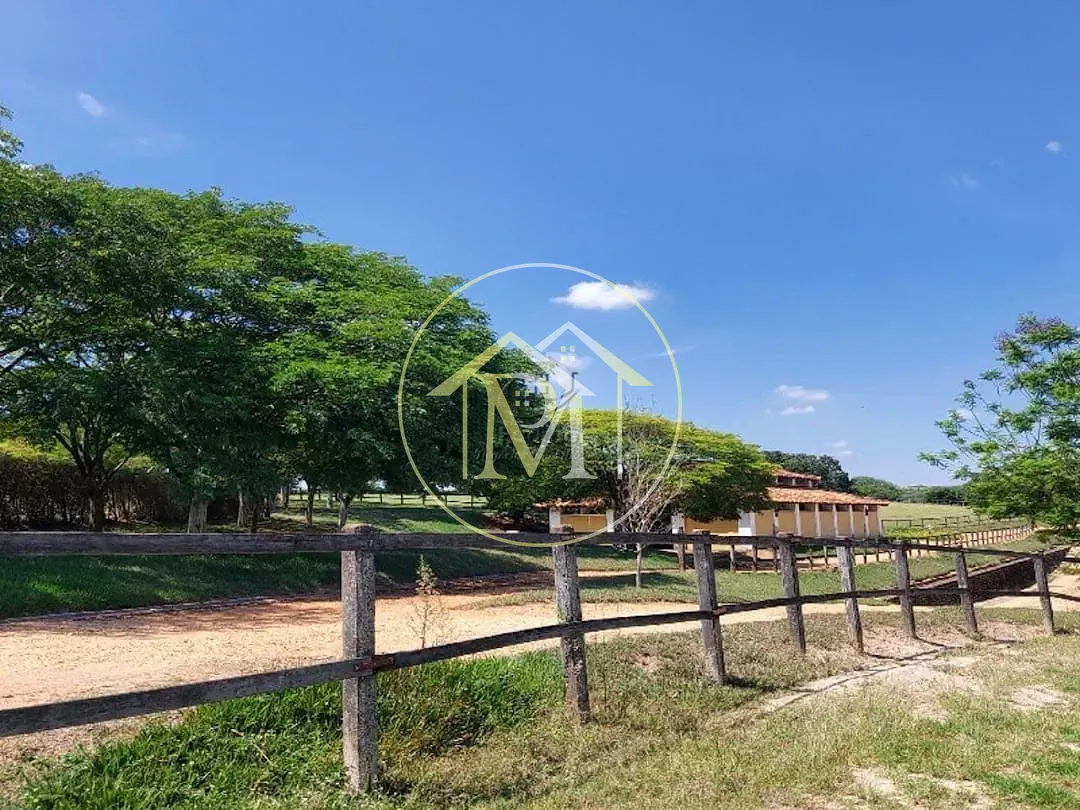 Fazenda, 29 hectares - Foto 35
