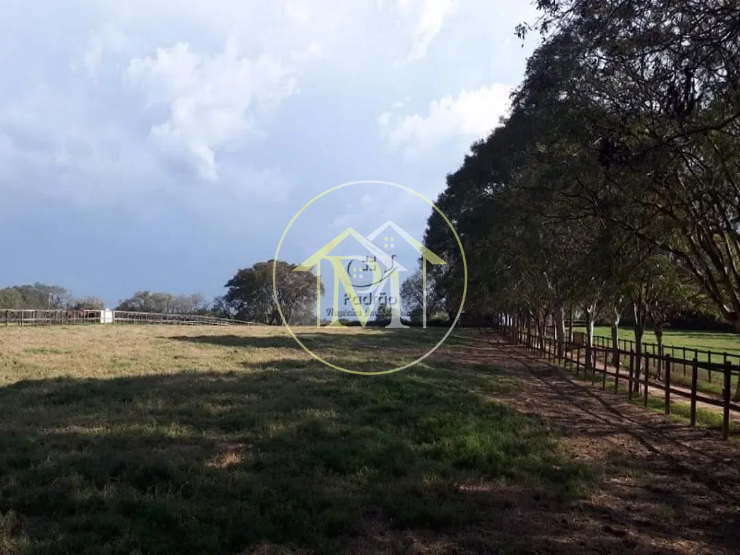 Fazenda, 29 hectares - Foto 47