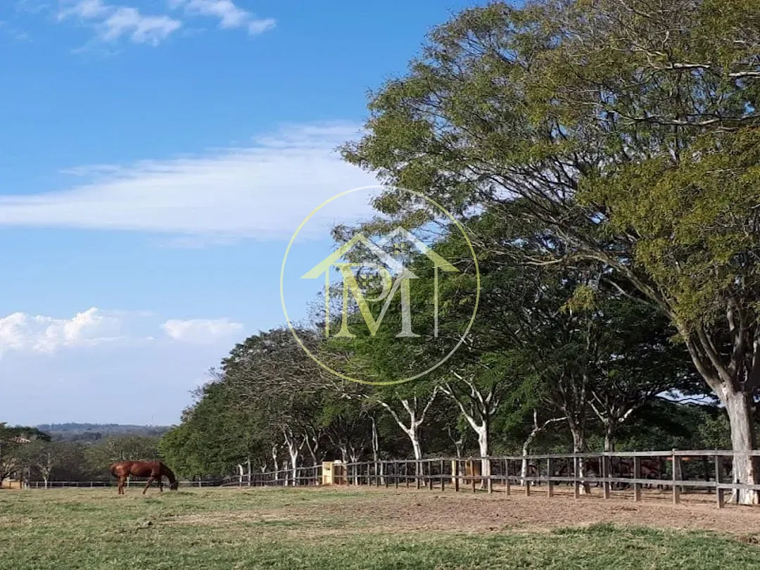 Fazenda, 29 hectares - Foto 9