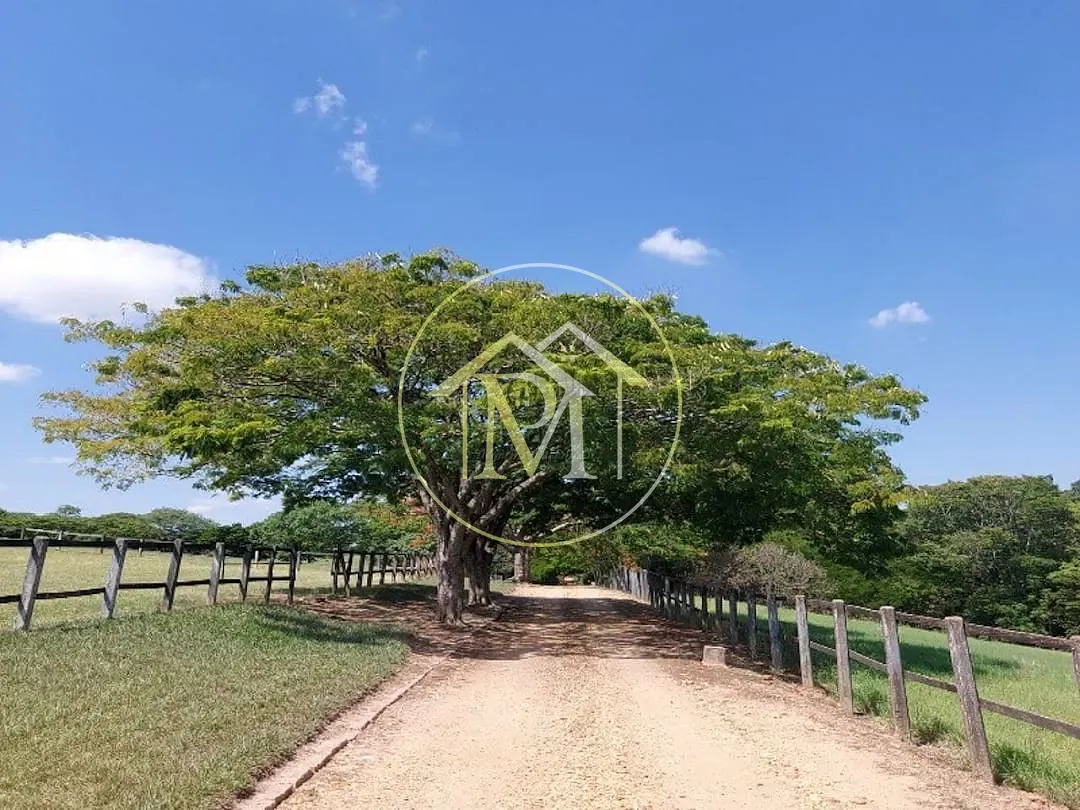 Fazenda, 29 hectares - Foto 53