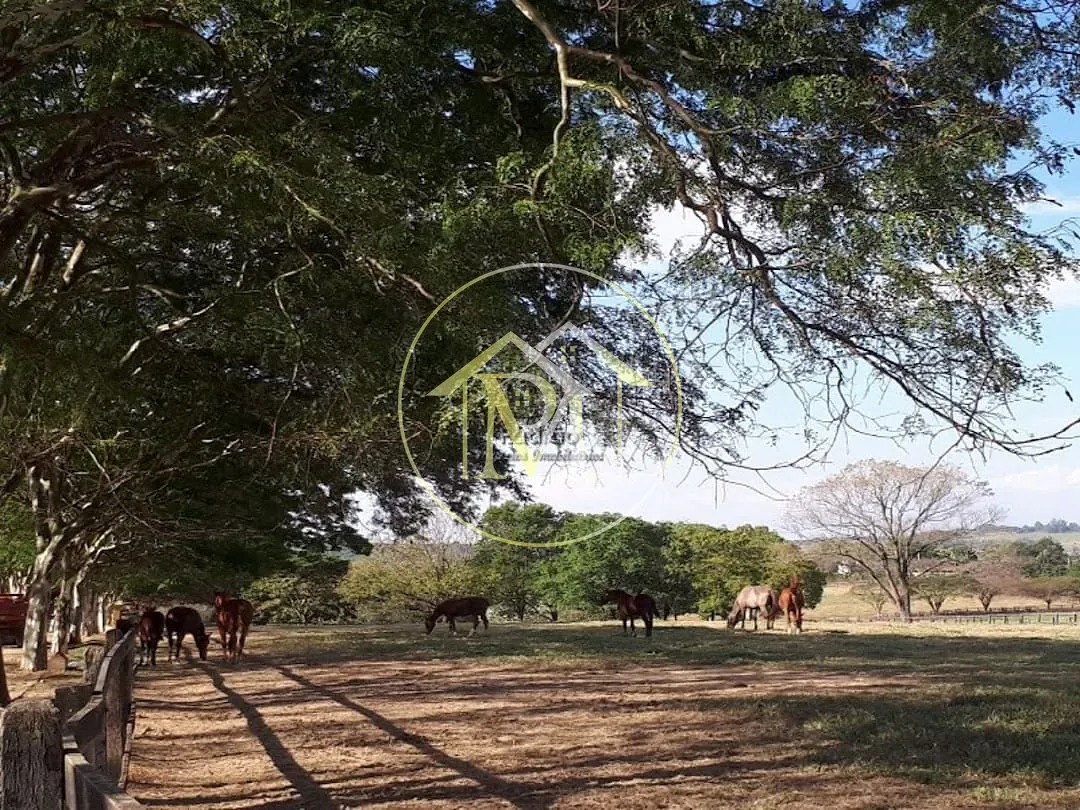Fazenda, 29 hectares - Foto 48