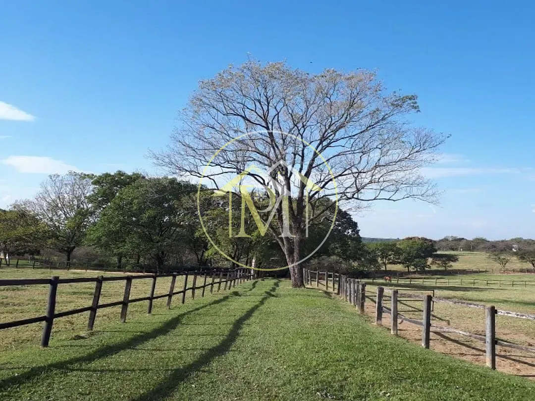 Fazenda, 29 hectares - Foto 44