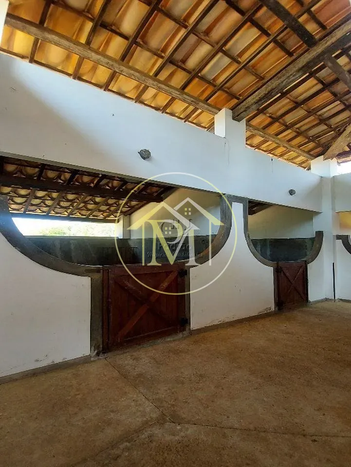 Fazenda, 29 hectares - Foto 11