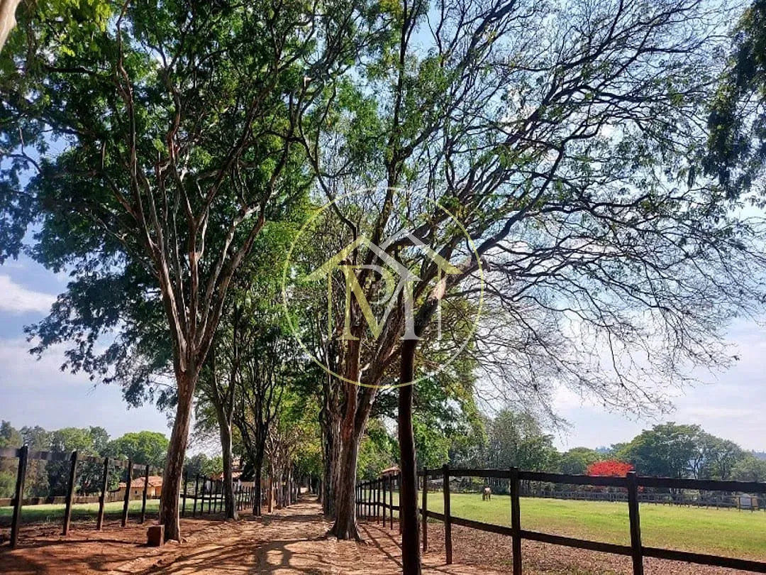 Fazenda, 29 hectares - Foto 12