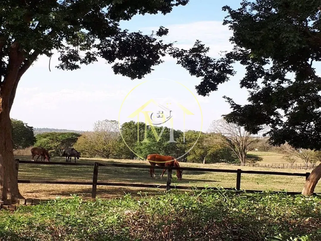 Fazenda, 29 hectares - Foto 10