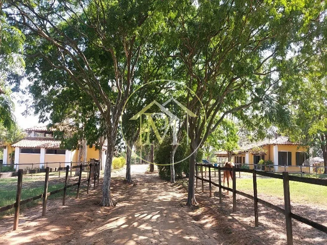 Fazenda, 29 hectares - Foto 6
