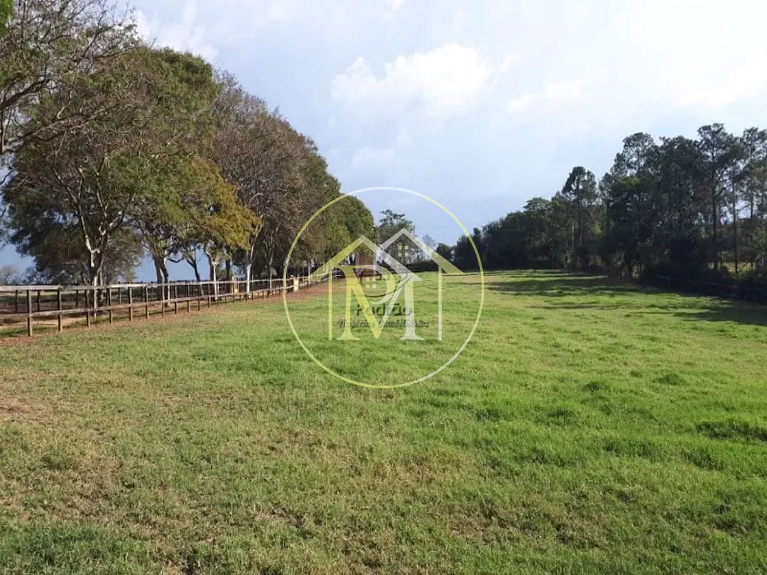 Fazenda, 29 hectares - Foto 43