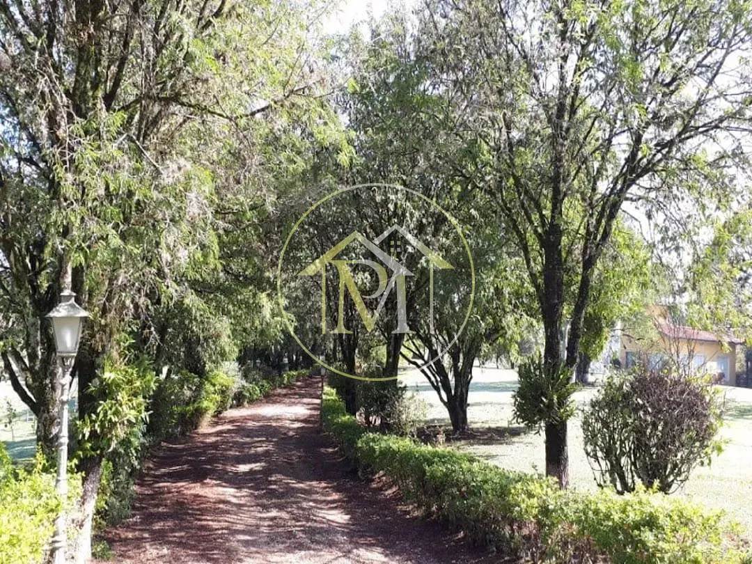 Fazenda, 104 hectares - Foto 16