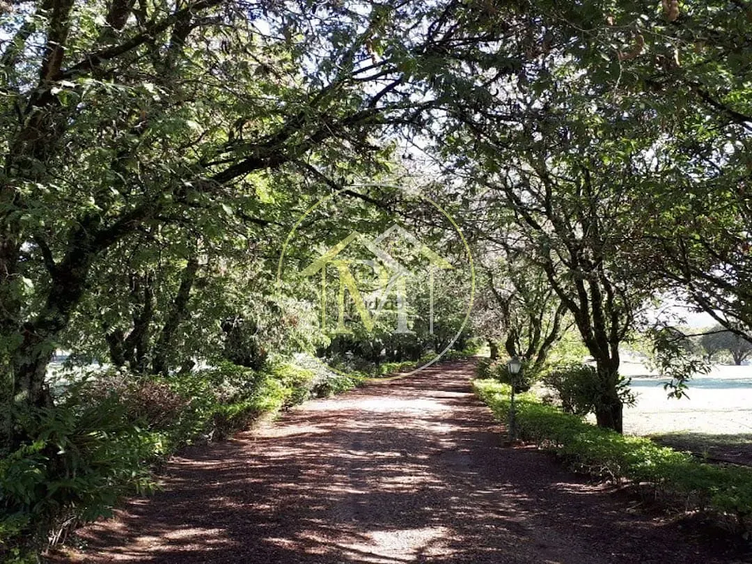 Fazenda, 104 hectares - Foto 17