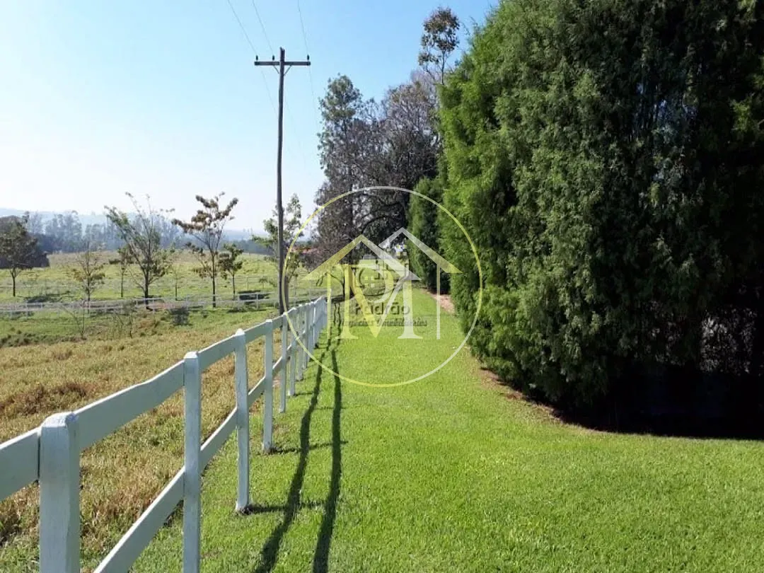 Fazenda, 104 hectares - Foto 14