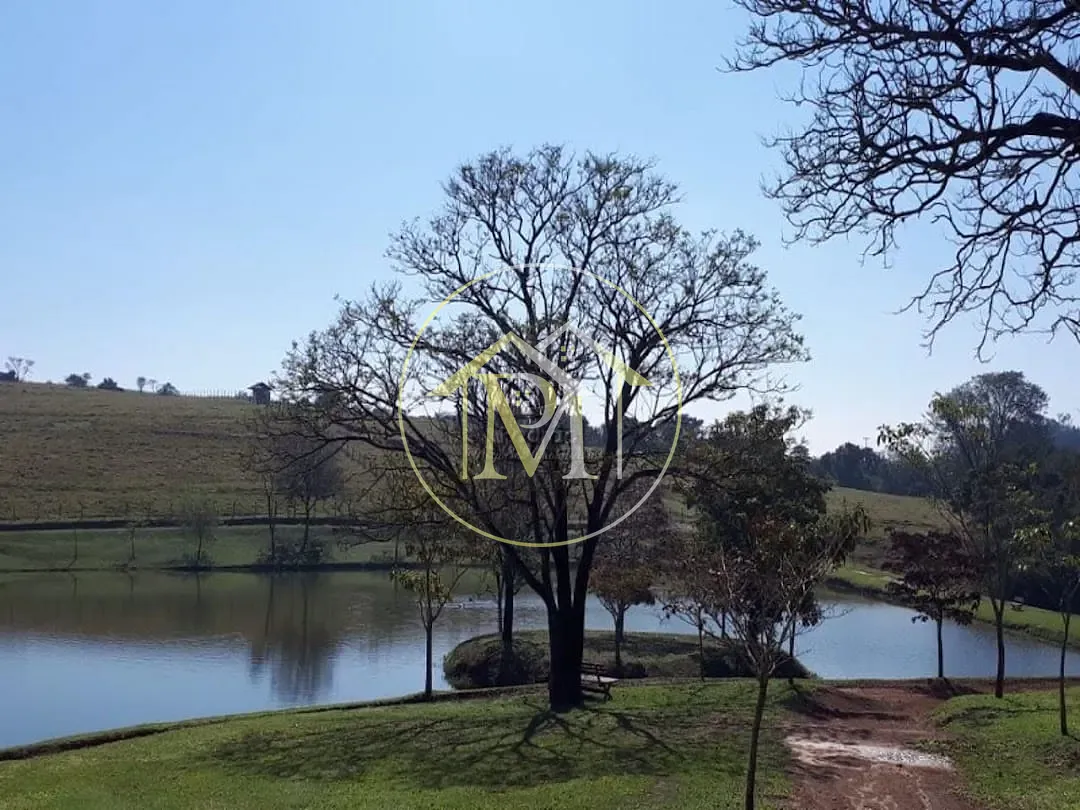 Fazenda, 104 hectares - Foto 31