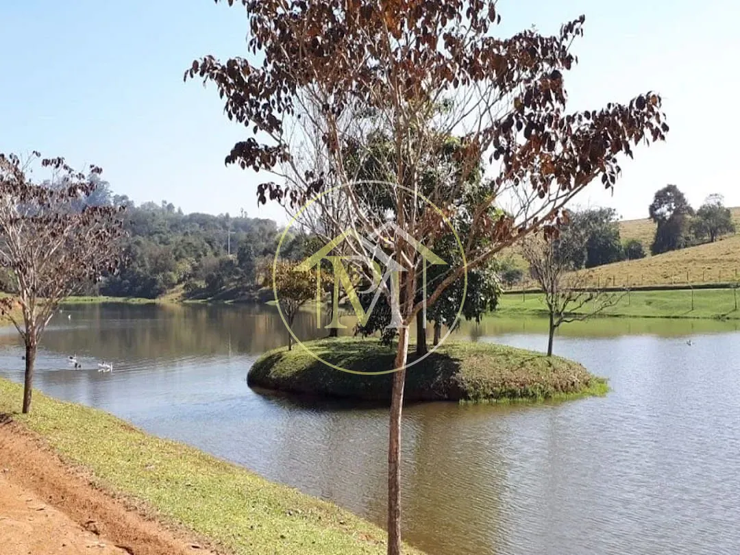 Fazenda, 104 hectares - Foto 34