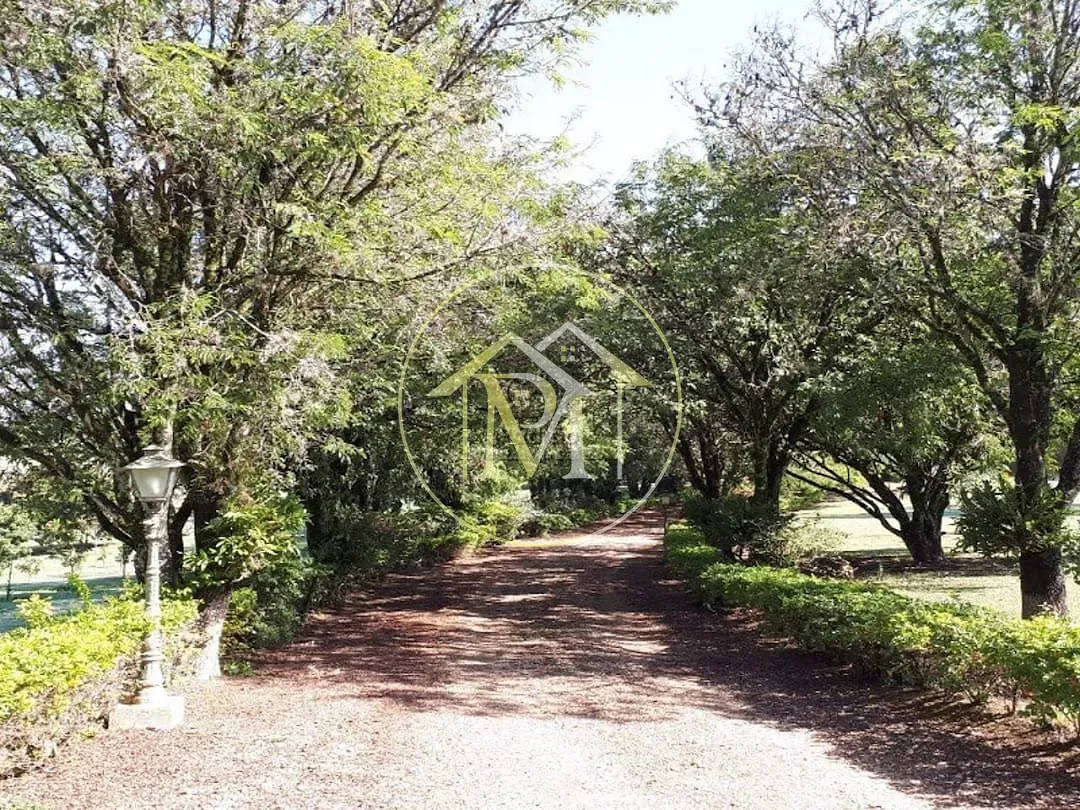 Fazenda, 104 hectares - Foto 18