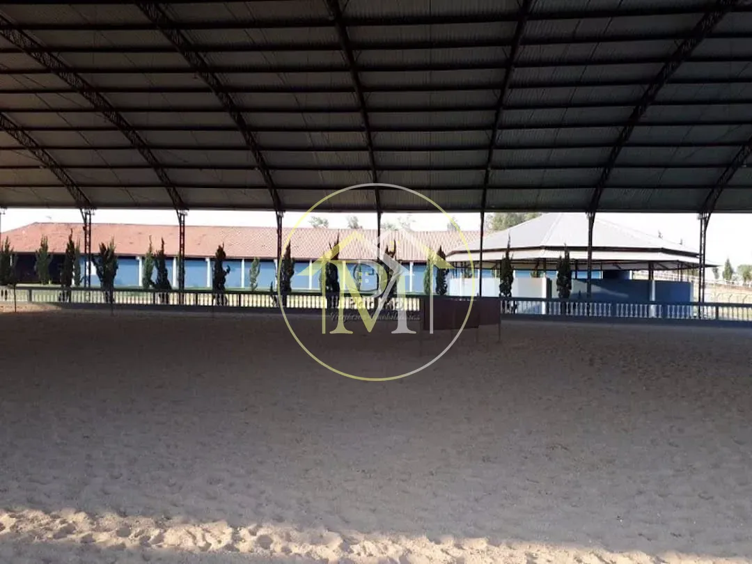 Fazenda, 48 hectares - Foto 17