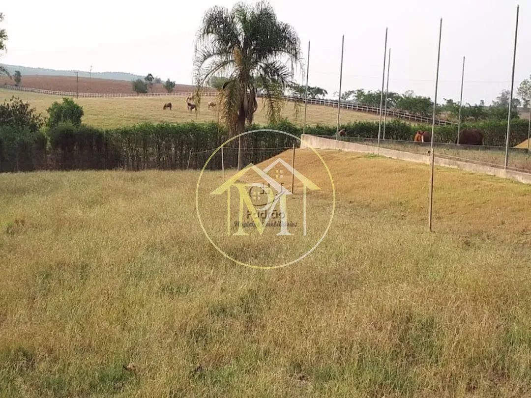 Fazenda, 48 hectares - Foto 12