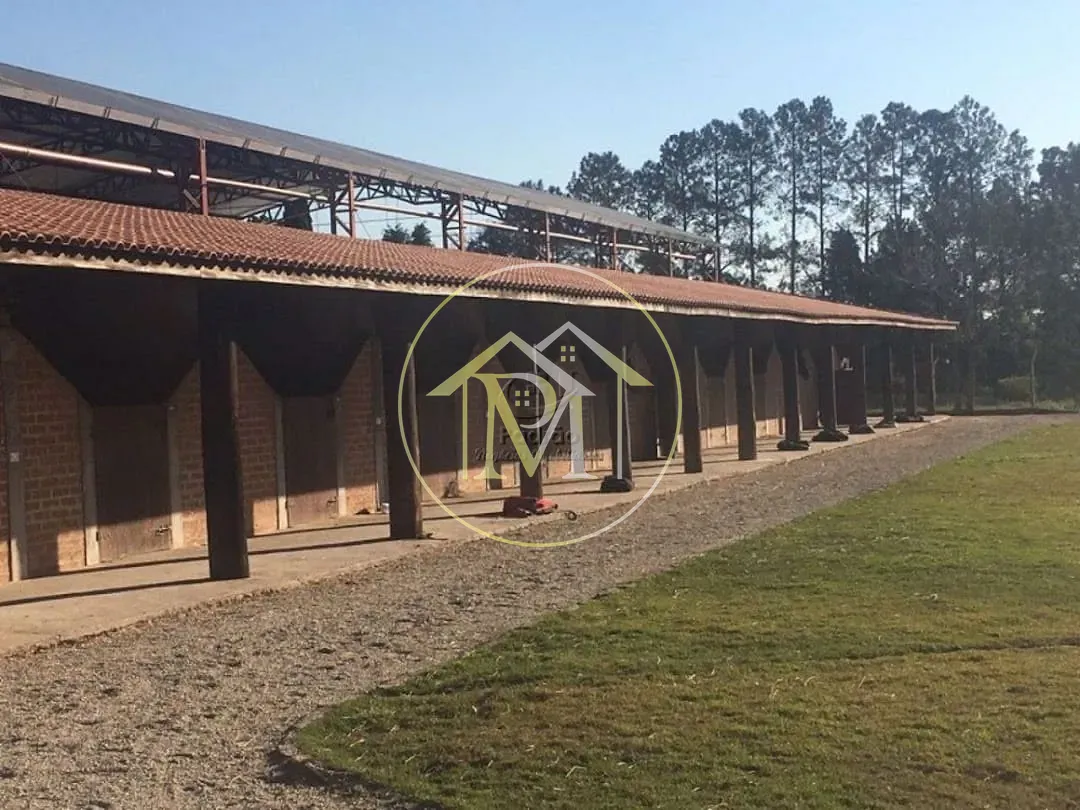 Fazenda, 10 hectares - Foto 4