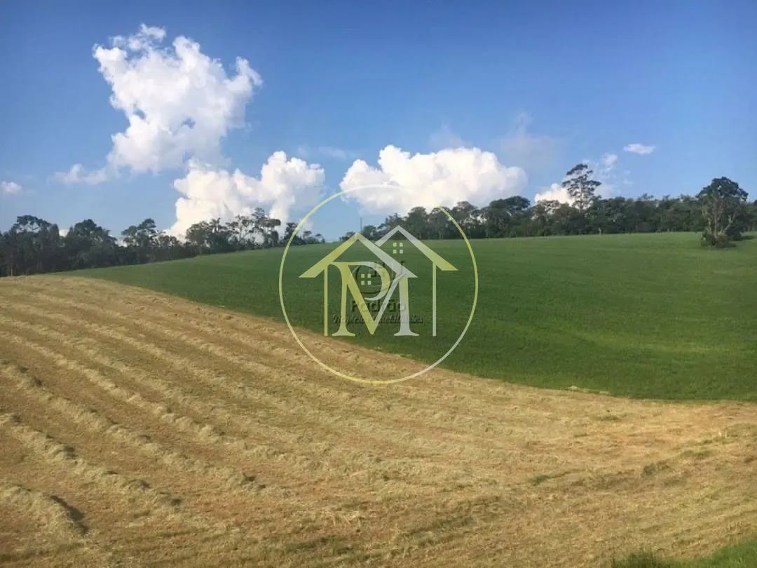 Fazenda, 10 hectares - Foto 14
