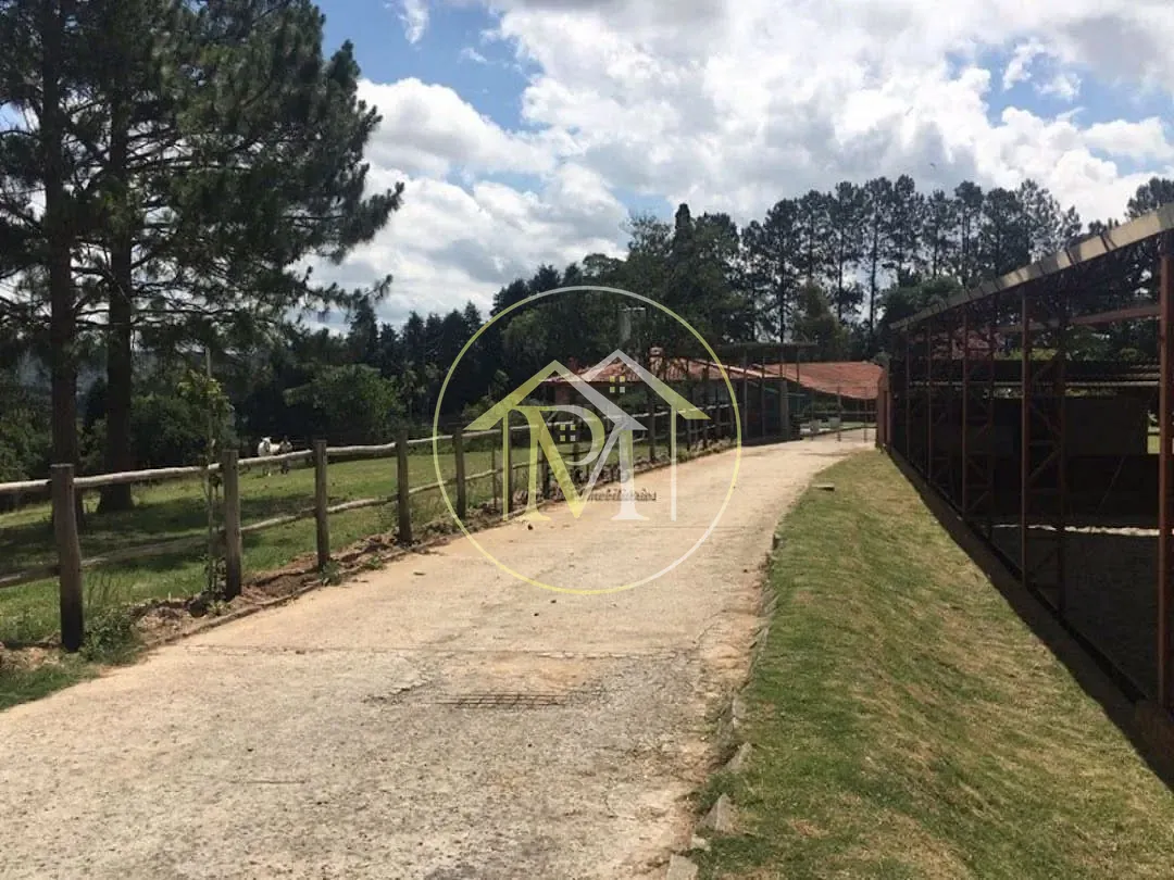 Fazenda, 10 hectares - Foto 8