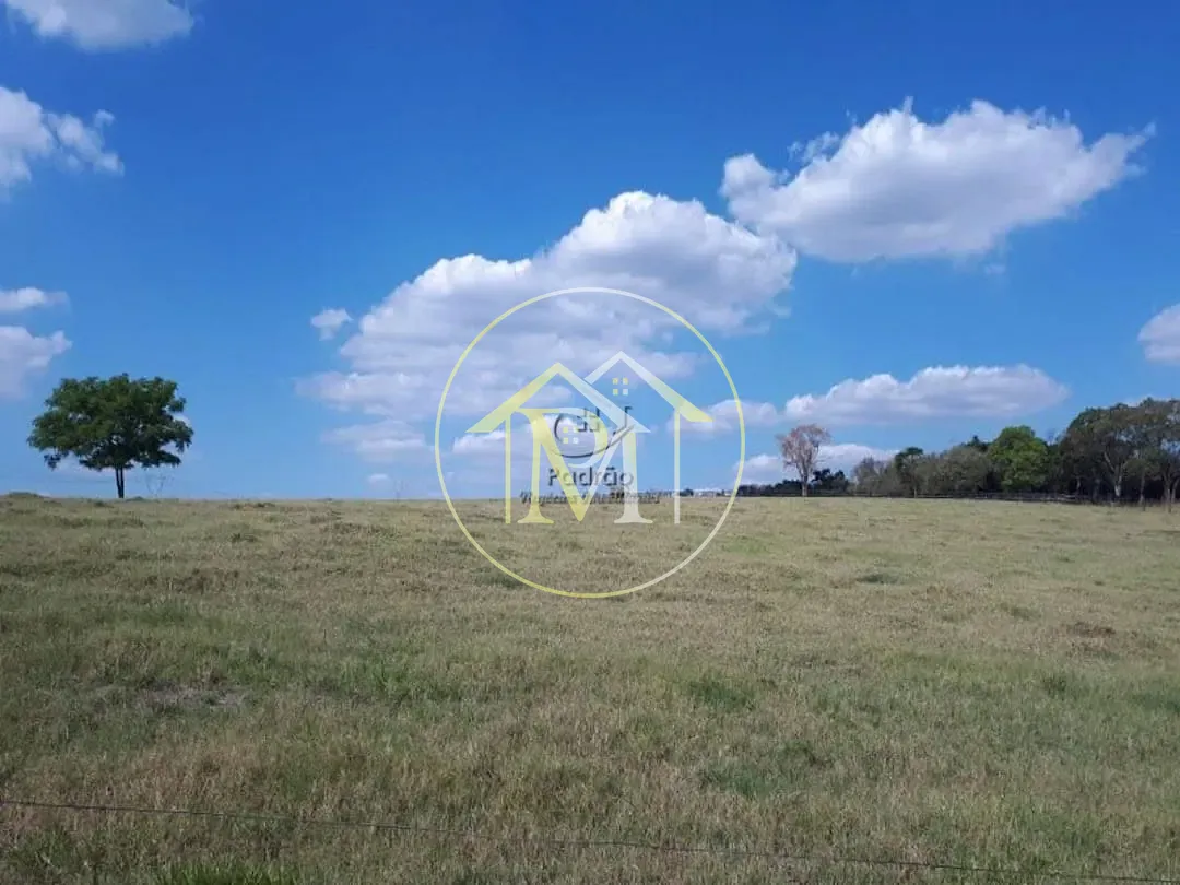 Fazenda, 54 hectares - Foto 30