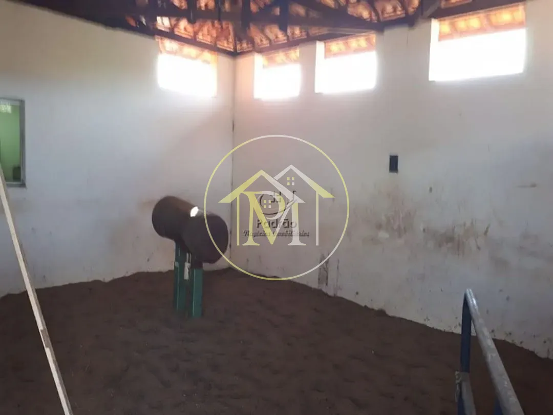 Fazenda, 54 hectares - Foto 10