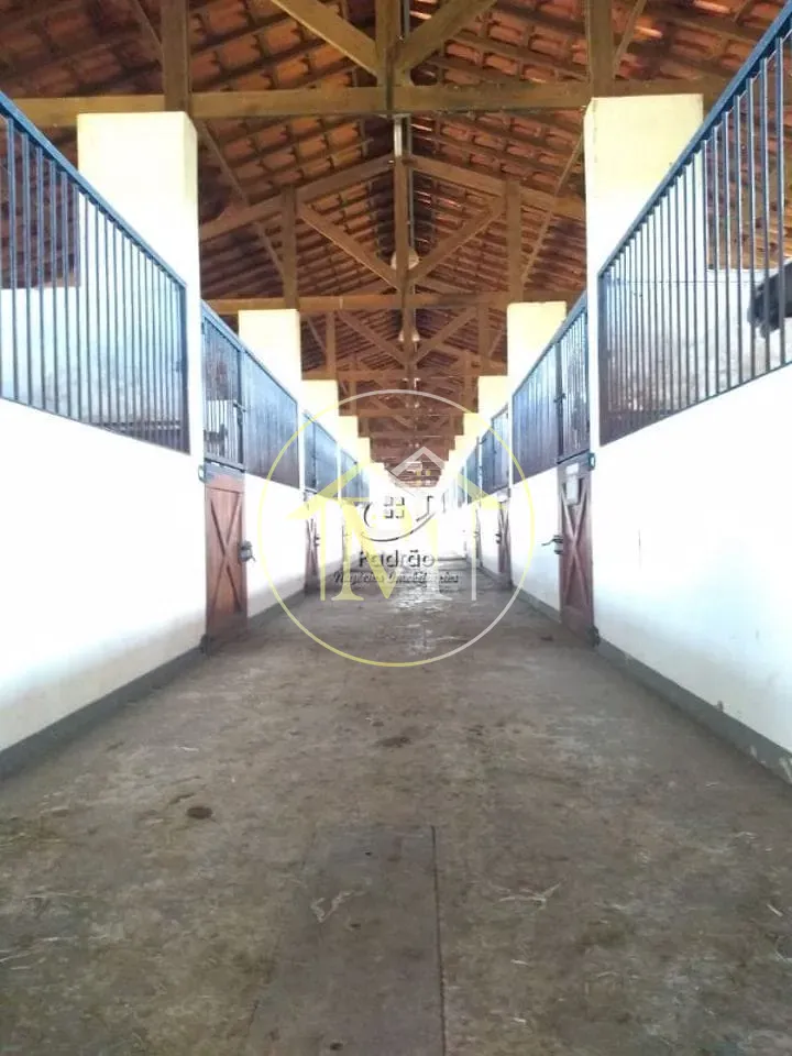 Fazenda, 54 hectares - Foto 24