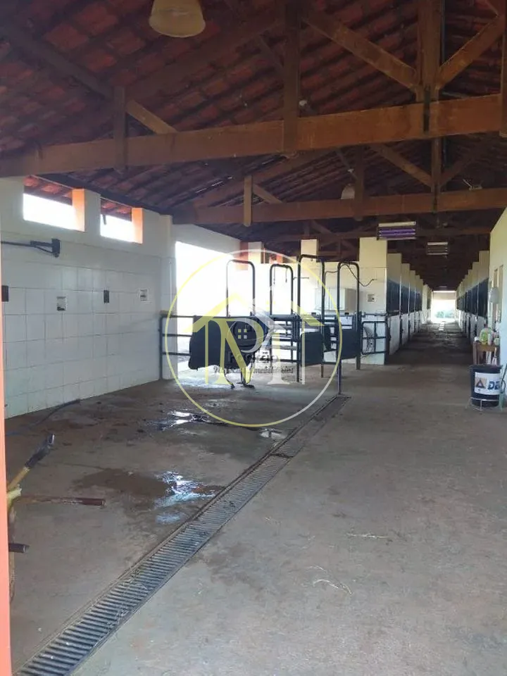 Fazenda, 54 hectares - Foto 14