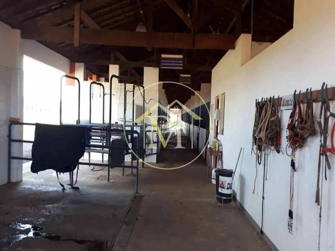 Fazenda, 54 hectares - Foto 11