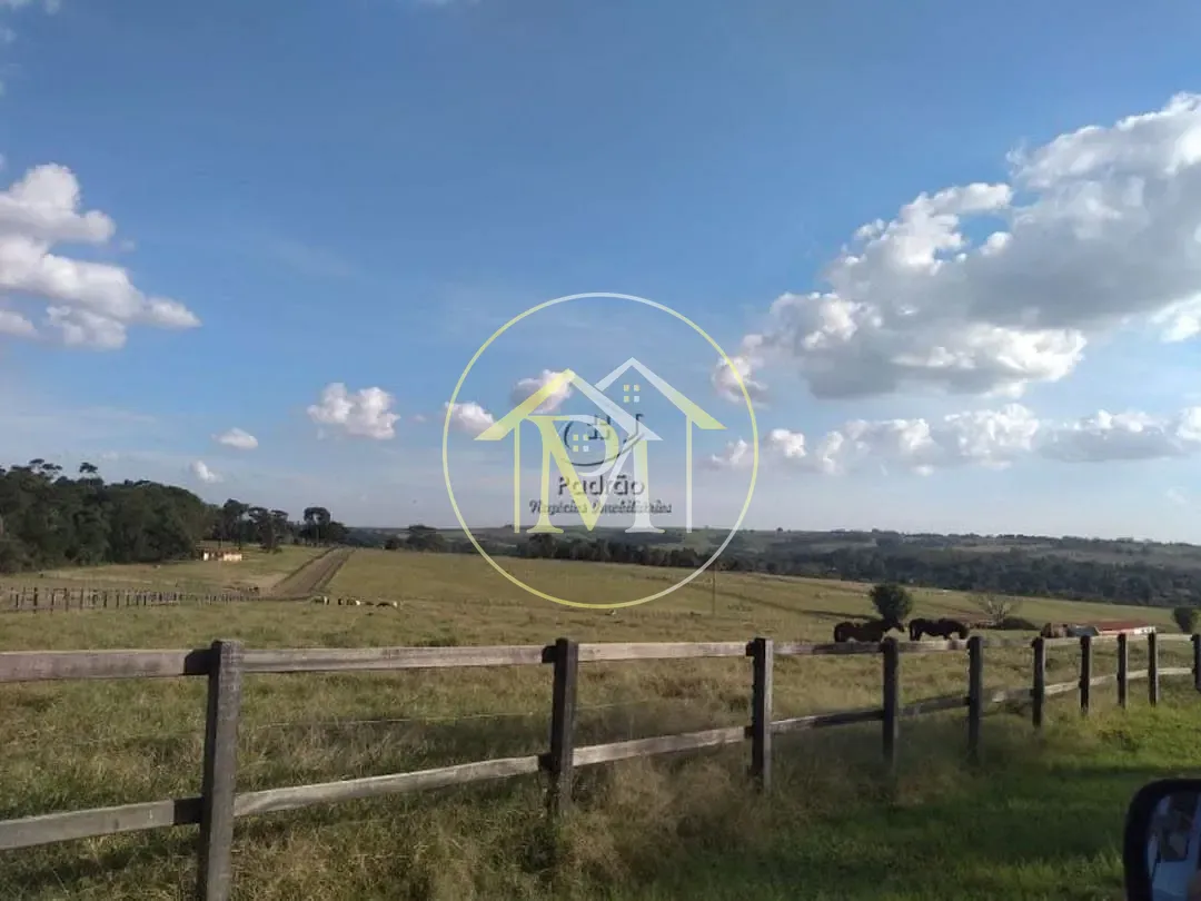 Fazenda, 54 hectares - Foto 2