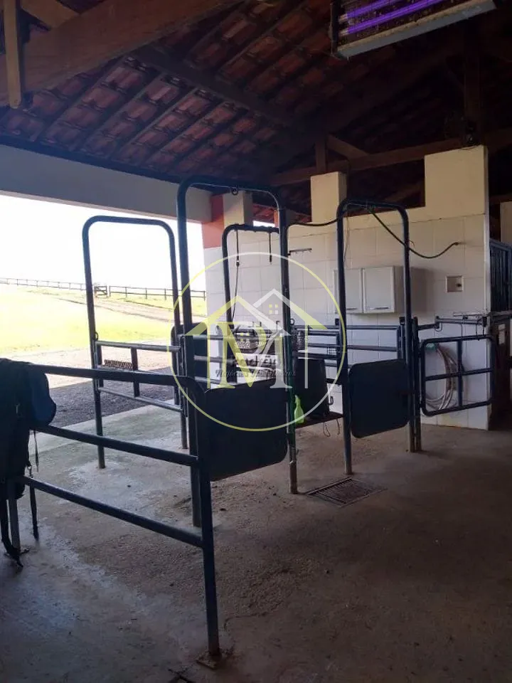 Fazenda, 54 hectares - Foto 27