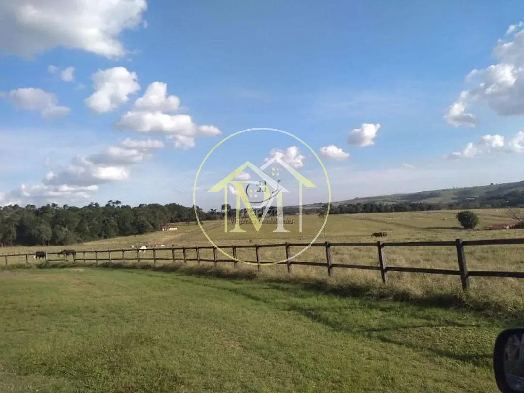 Fazenda, 54 hectares - Foto 15