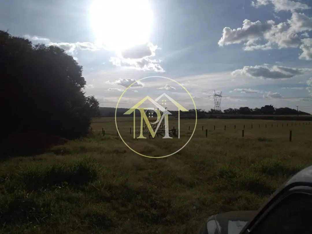 Fazenda, 54 hectares - Foto 13