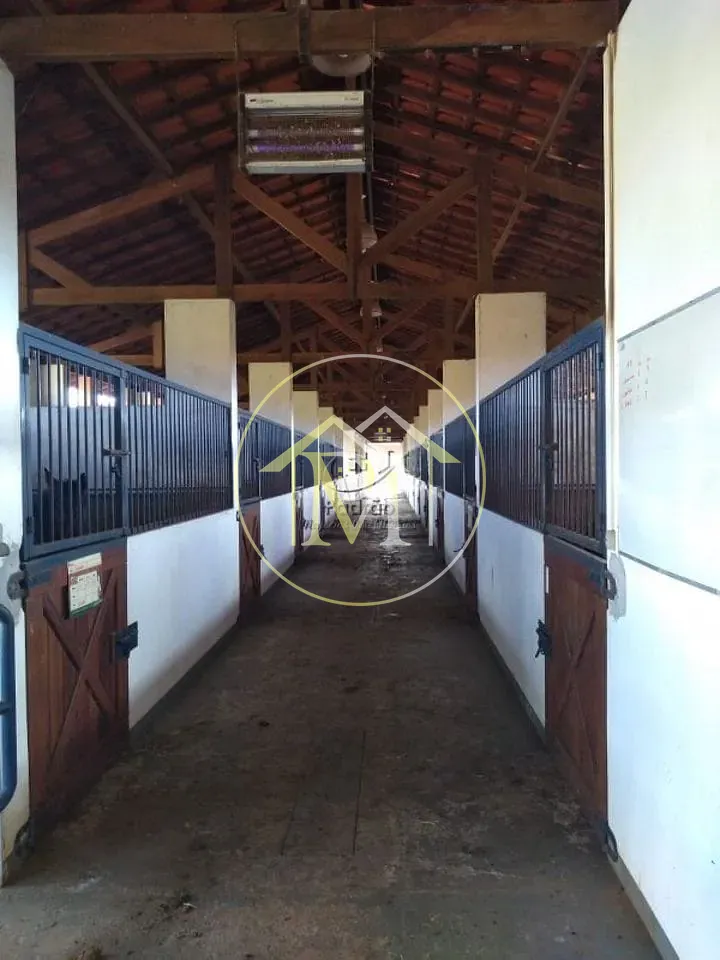 Fazenda, 54 hectares - Foto 25