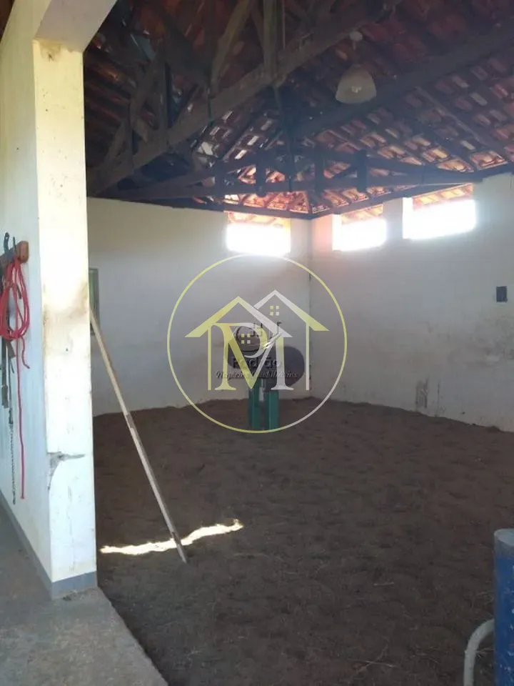 Fazenda, 54 hectares - Foto 26