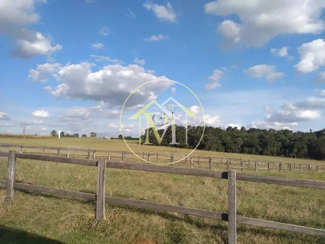 Fazenda, 54 hectares - Foto 16