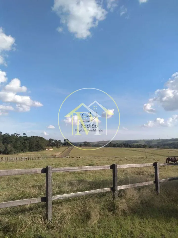 Fazenda, 54 hectares - Foto 12