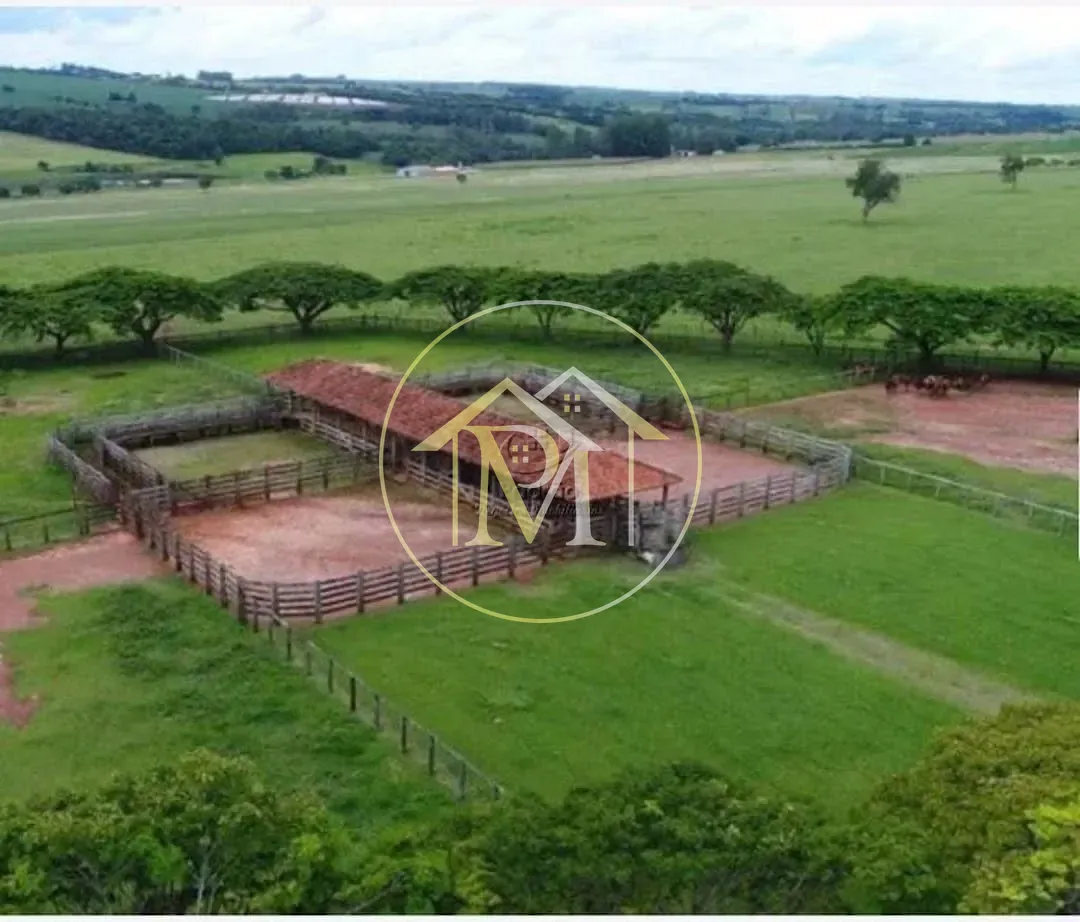 Fazenda, 303 hectares - Foto 61