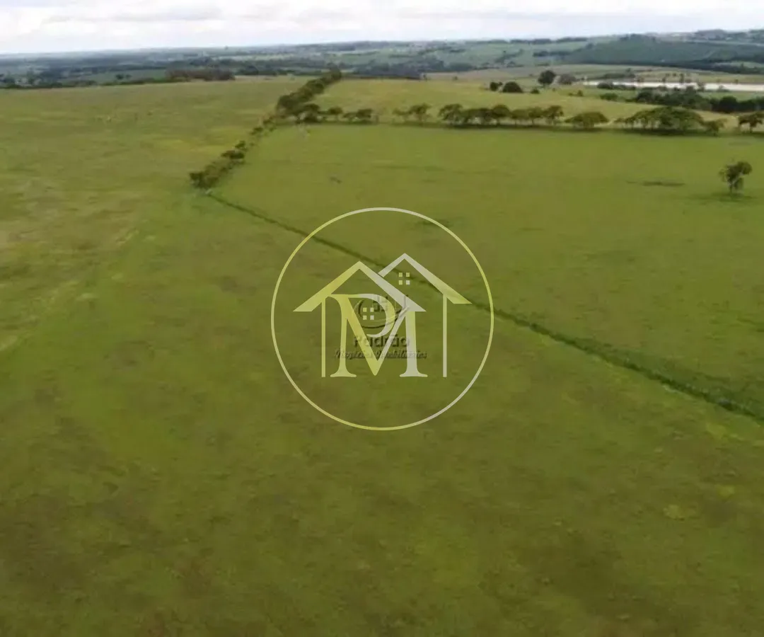 Fazenda, 303 hectares - Foto 63