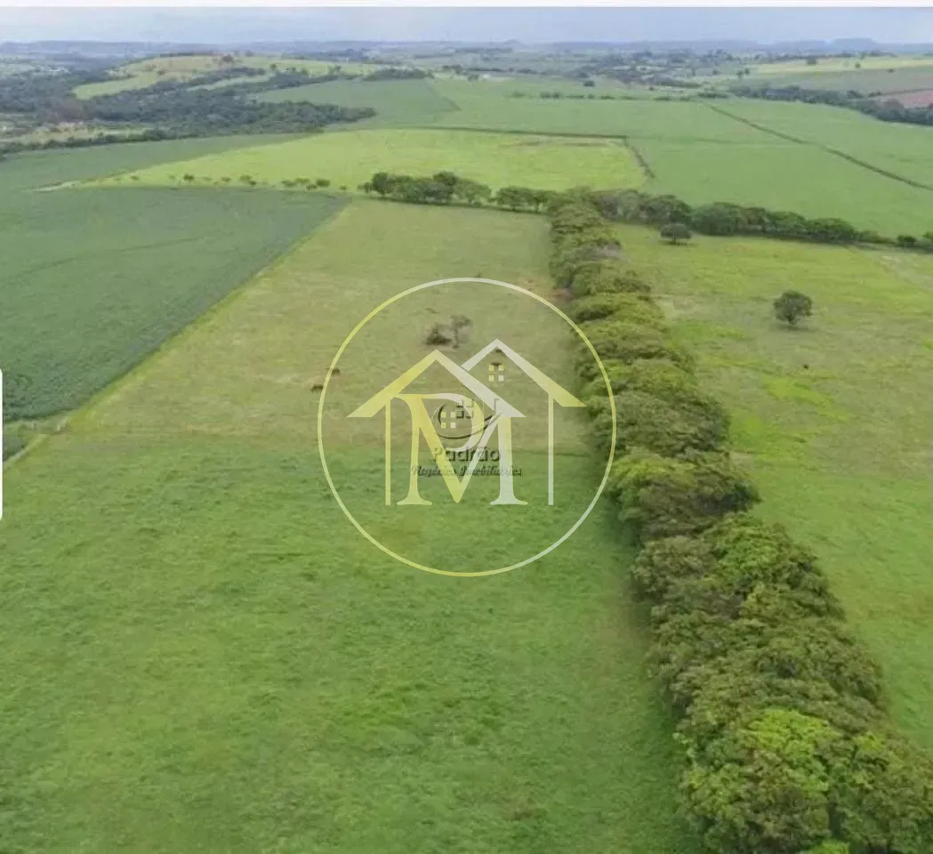 Fazenda, 303 hectares - Foto 48