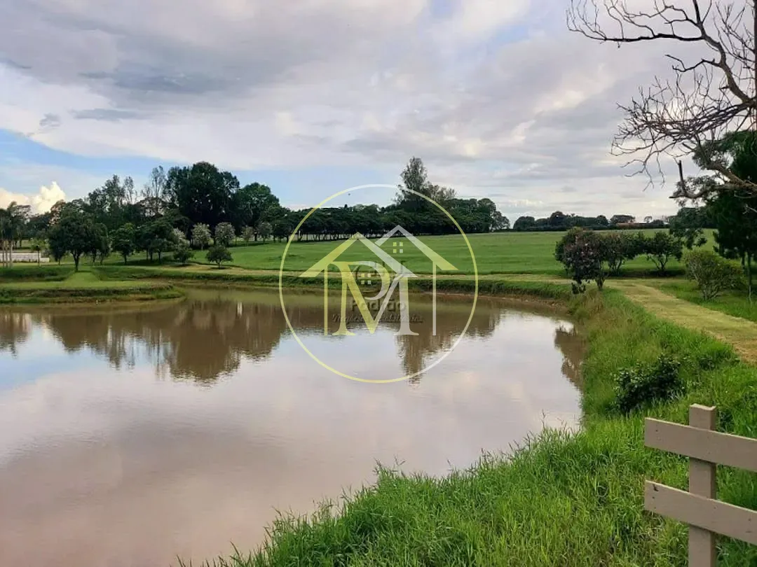 Fazenda, 303 hectares - Foto 15