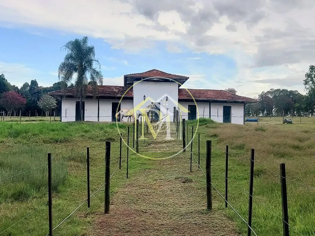 Fazenda, 303 hectares - Foto 36