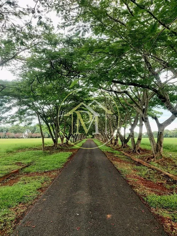 Fazenda, 303 hectares - Foto 10