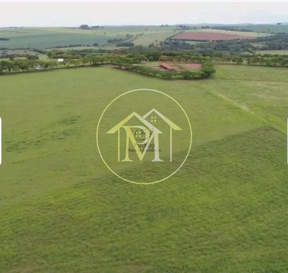 Fazenda, 303 hectares - Foto 60