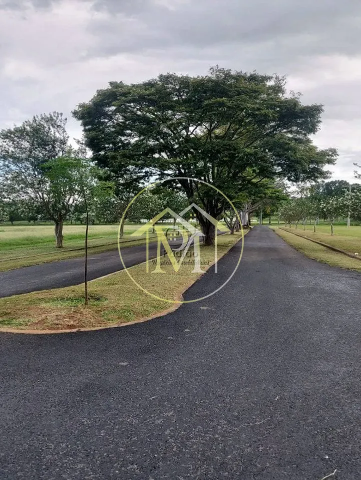 Fazenda, 303 hectares - Foto 30