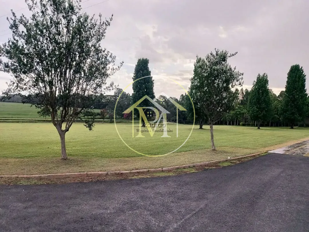 Fazenda, 303 hectares - Foto 28
