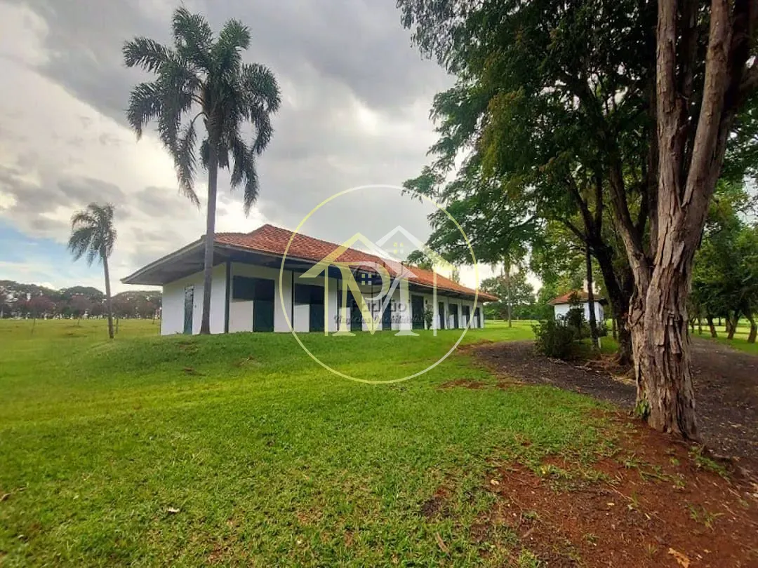 Fazenda, 303 hectares - Foto 35