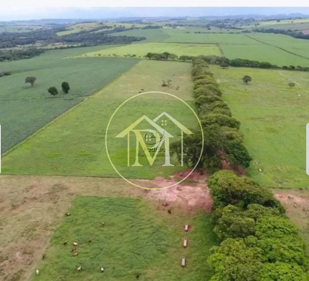 Fazenda, 303 hectares - Foto 62