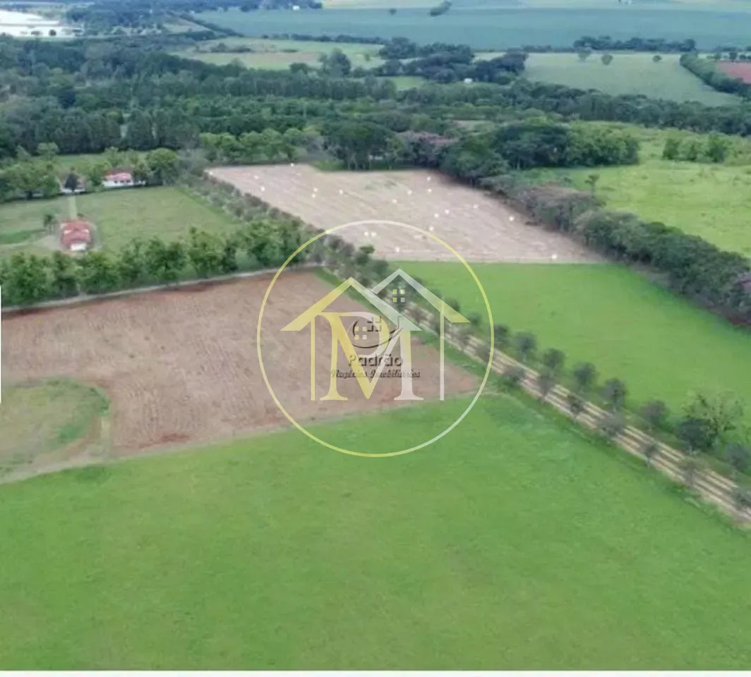 Fazenda, 303 hectares - Foto 49